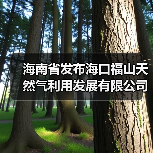 海南省发布海口福山天然气利用发展有限公司省内短途天然气管道运输价格的通知（图4）