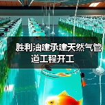 胜利油建承建天然气管道工程开工(图4) 胜利油建承建天然气管道工程开工(图4)