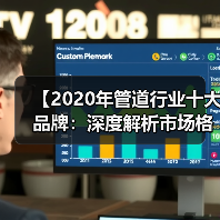 【2020年管道行业十大品牌：深度解析市场格局与选择攻略】