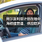 阿尔及利亚计划在地中海修建管道，供应欧洲10%的氢气（图4）