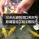 甘肃古浪到河口天然气联络管道工程实现投产(图3) 甘肃古浪到河口天然气联络管道工程实现投产(图3)