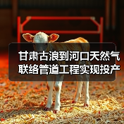 甘肃古浪到河口天然气联络管道工程实现投产(图2) 甘肃古浪到河口天然气联络管道工程实现投产(图2)