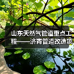 山东天然气管道重点工程——济青管道改造项目开工（图3）