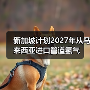 新加坡计划2027年从马来西亚进口管道氢气(图1) 新加坡计划2027年从马来西亚进口管道氢气(图1)