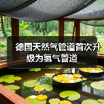 德国天然气管道首次升级为氢气管道(图4) 德国天然气管道首次升级为氢气管道(图4)