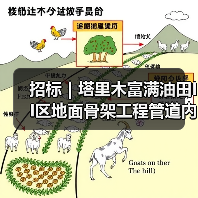 招标｜塔里木富满油田II区地面骨架工程管道内检测服务（二次）