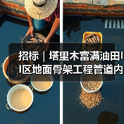 招标｜塔里木富满油田II区地面骨架工程管道内检测服务（二次）（图3）