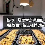 招标｜塔里木富满油田II区地面骨架工程管道内检测服务（二次）（图2）