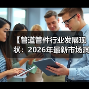 【管道管件行业发展现状:2026年最新市场洞察与投资机会解析】(图4) 【管道管件行业发展现状:2026年最新市场洞察与投资机会解析】(图4)