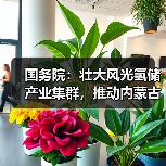 国务院:壮大风光氢储产业集群,推动内蒙古乌兰察布至燕山石化输氢管道建设(图1) 国务院:壮大风光氢储产业集群,推动内蒙古乌兰察布至燕山石化输氢管道建设(图1)