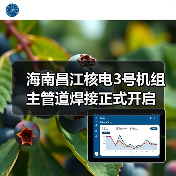 海南昌江核电3号机组主管道焊接正式开启（图2）