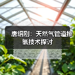 唐绍刚:天然气管道掺氢技术探讨(图4) 唐绍刚:天然气管道掺氢技术探讨(图4)
