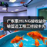广东惠州LNG接收站外输管道工程三标段率先贯通(图2) 广东惠州LNG接收站外输管道工程三标段率先贯通(图2)