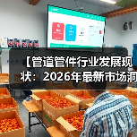 【管道管件行业发展现状:2026年最新市场洞察与未来趋势】(图3) 【管道管件行业发展现状:2026年最新市场洞察与未来趋势】(图3)
