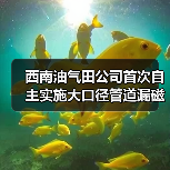 西南油气田公司首次自主实施大口径管道漏磁内检测圆满成功（图2）