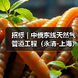 招标|中俄东线天然气管道工程(永清-上海)长江盾构穿越工程管道安装施工项目隧道填充标段二(二次)(图3) 招标|中俄东线天然气管道工程(永清-上海)长江盾构穿越工程管道安装施工项目隧道填充标段二(二次)(图3)