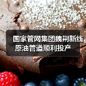 国家管网集团魏荆新线原油管道顺利投产（图3）