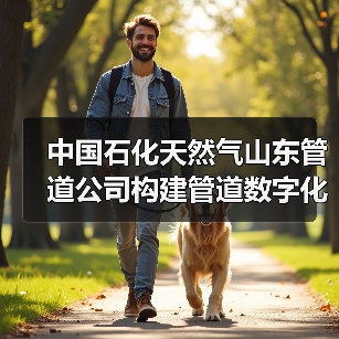 中国石化天然气山东管道公司构建管道数字化巡护体系(图4) 中国石化天然气山东管道公司构建管道数字化巡护体系(图4)