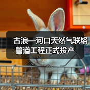 古浪—河口天然气联络管道工程正式投产(图3) 古浪—河口天然气联络管道工程正式投产(图3)