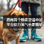 西南首个输氢管道中试平台助力氢气长距离输送(图1) 西南首个输氢管道中试平台助力氢气长距离输送(图1)
