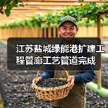 江苏盐城绿能港扩建工程管廊工艺管道完成（图4）