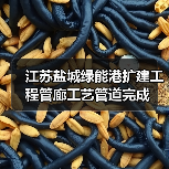 江苏盐城绿能港扩建工程管廊工艺管道完成（图3）