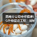 西南分公司中标福建LNG外输管道工程，揭秘核心技术如何保障区域供气（图2）