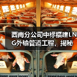 西南分公司中标福建LNG外输管道工程，揭秘核心技术如何保障区域供气