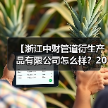 【浙江中财管道衍生产品有限公司怎么样?2026年深度解析与实战体验】(图4) 【浙江中财管道衍生产品有限公司怎么样?2026年深度解析与实战体验】(图4)