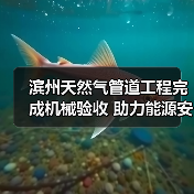 滨州天然气管道工程完成机械验收 助力能源安全保障(图2) 滨州天然气管道工程完成机械验收 助力能源安全保障(图2)