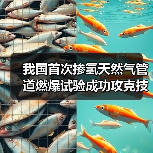 我国首次掺氢天然气管道燃爆试验成功攻克技术难题!(图1) 我国首次掺氢天然气管道燃爆试验成功攻克技术难题!(图1)