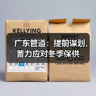 广东管道:提前谋划,蓄力应对冬季保供(图3) 广东管道:提前谋划,蓄力应对冬季保供(图3)