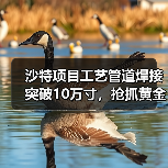 沙特项目工艺管道焊接突破10万寸,抢抓黄金期进度告捷(图3) 沙特项目工艺管道焊接突破10万寸,抢抓黄金期进度告捷(图3)