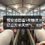 鄂安沧管道5年输送300亿立方米天然气,如何支撑华北能源需求?(图3) 鄂安沧管道5年输送300亿立方米天然气,如何支撑华北能源需求?(图3)
