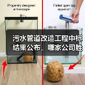 污水管道改造工程中标结果公布，哪家公司胜出？（图4）
