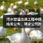 污水管道改造工程中标结果公布，哪家公司胜出？