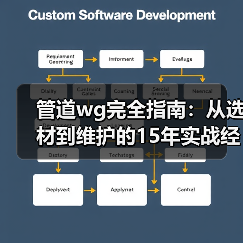 管道wg完全指南：从选材到维护的15年实战经验分享（图4）