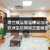 荷兰输氢管道建设加速 欧洲氢能网络蓝图展望（图2）