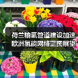 荷兰输氢管道建设加速 欧洲氢能网络蓝图展望