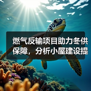 燃气反输项目助力冬供保障，分析小屋建设提升管网安全（图4）