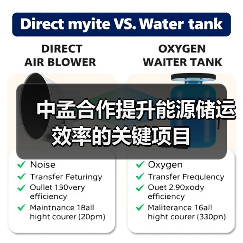 中孟合作提升能源储运效率的关键项目
