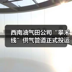 西南油气田公司“攀米线”供气管道正式投运