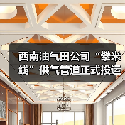西南油气田公司“攀米线”供气管道正式投运（图2）