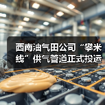 西南油气田公司“攀米线”供气管道正式投运（图3）