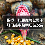 招标 | 利通燃气公司千灯门站中盐调压站次高压A天然气管道工程项目招标(图3) 招标 | 利通燃气公司千灯门站中盐调压站次高压A天然气管道工程项目招标(图3)