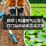 招标 | 利通燃气公司千灯门站中盐调压站次高压A天然气管道工程项目招标(图4) 招标 | 利通燃气公司千灯门站中盐调压站次高压A天然气管道工程项目招标(图4)