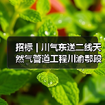 招标 | 川气东送二线天然气管道工程川渝鄂段工程施工2A标段站场阀室土建工程分包招标项目(四次)招标(图3) 招标 | 川气东送二线天然气管道工程川渝鄂段工程施工2A标段站场阀室土建工程分包招标项目(四次)招标(图3)
