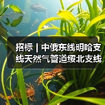 招标 | 中俄东线明哈支线天然气管道绥北支线工程- 土建分包工程招标(图1) 招标 | 中俄东线明哈支线天然气管道绥北支线工程- 土建分包工程招标(图1)