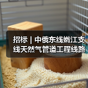 招标 | 中俄东线嫩江支线天然气管道工程线路（第一标段）线路土石方、水保及阀室土建工程招标（图4）
