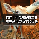 招标 | 中俄东线嫩江支线天然气管道工程线路（第一标段）线路土石方、水保及阀室土建工程招标（图3）